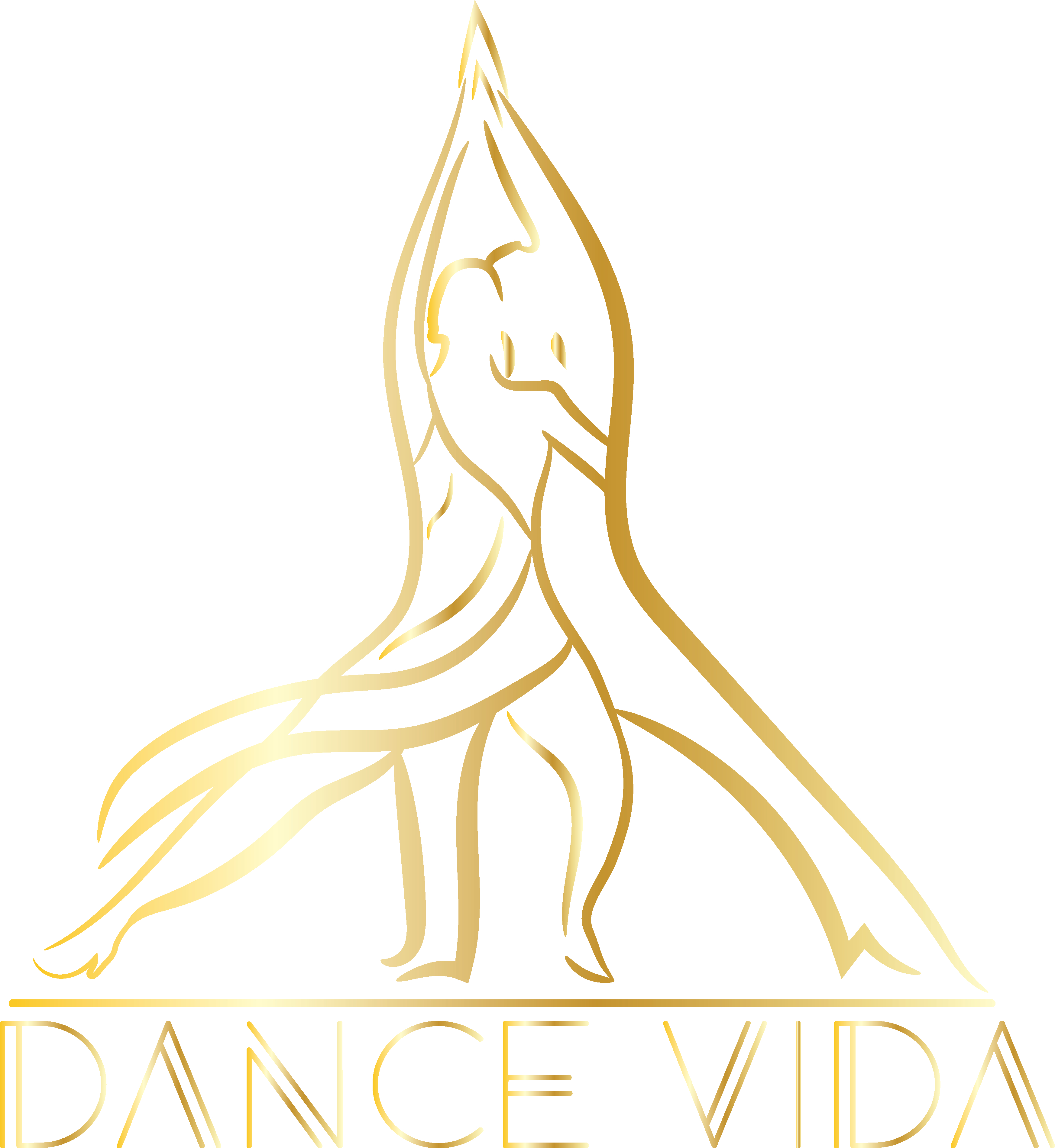 Dance Vida